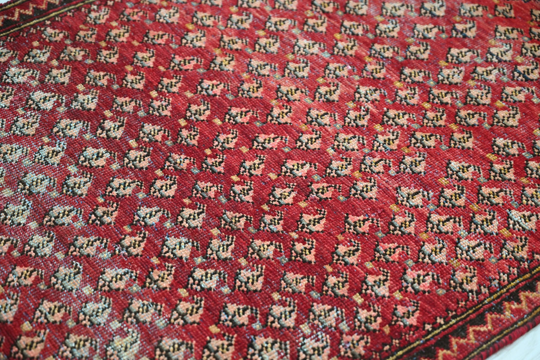 red Accent rug 2' 11" x 5' 11"