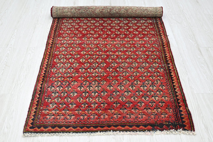 red Accent rug 2' 11" x 5' 11"