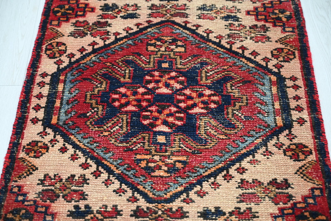 brown Runner rug 2' 2" x 9' 2"