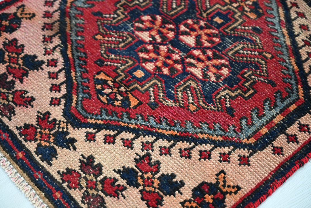 brown Runner rug 2' 2" x 9' 2"