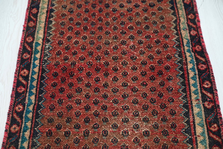 red Runner rug 1' 10" x 9' 4"