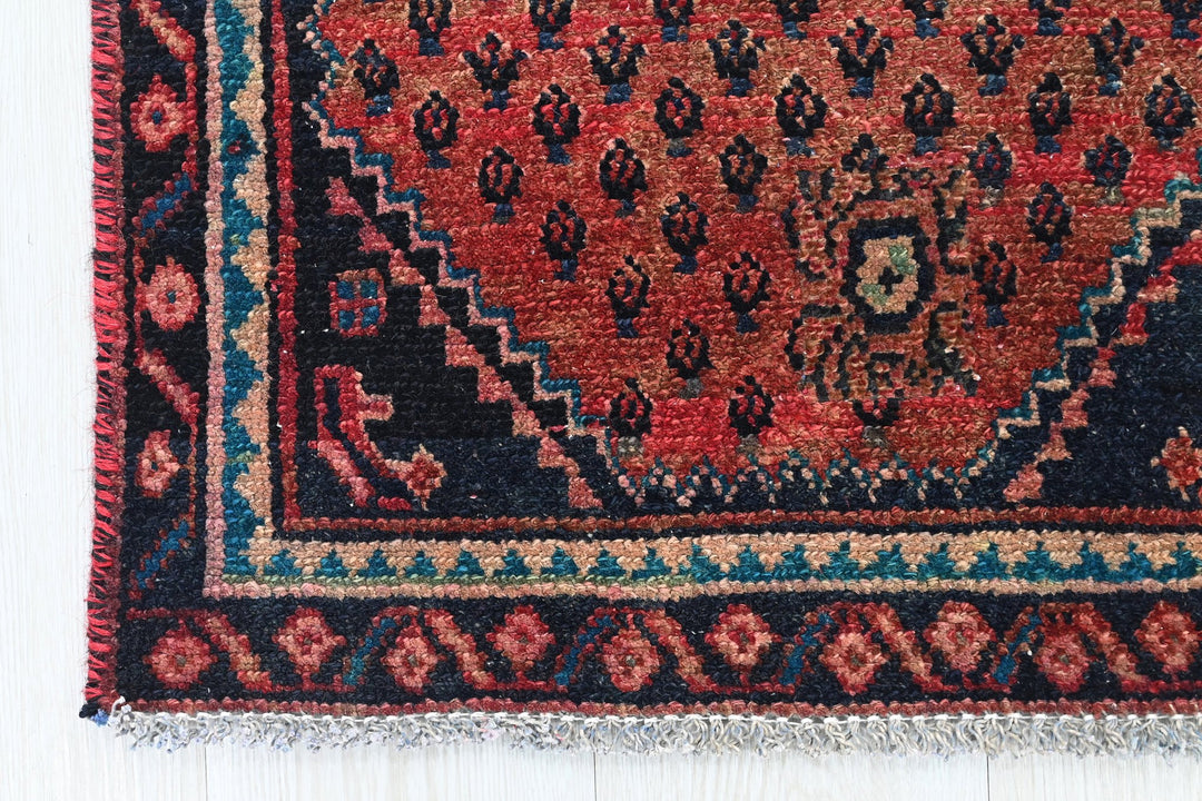 red Runner rug 1' 10" x 9' 4"