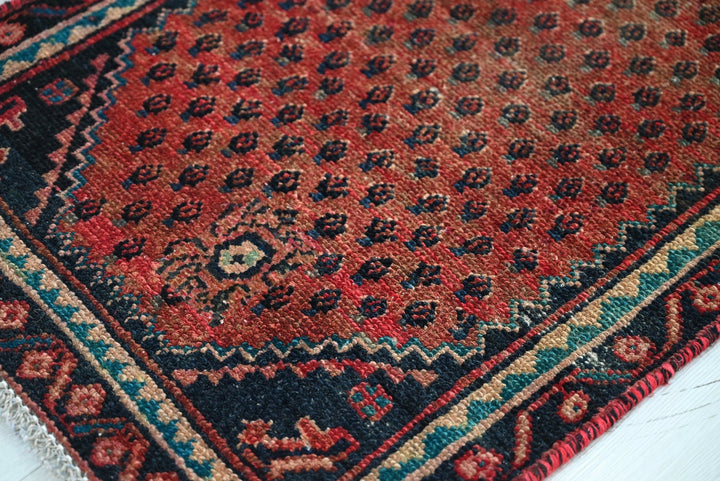 red Runner rug 1' 10" x 9' 4"