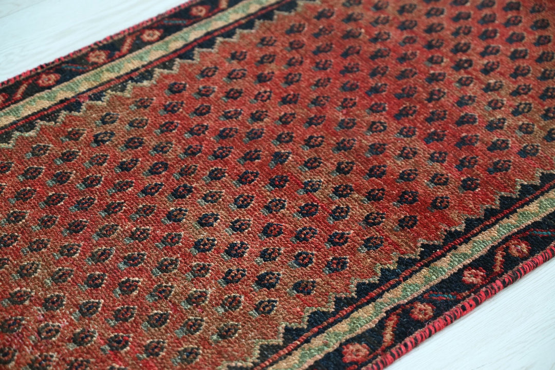 red Runner rug 1' 10" x 9' 4"