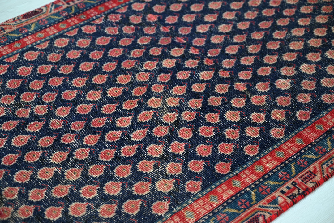 blue Runner rug 2' 6" x 9' 8"