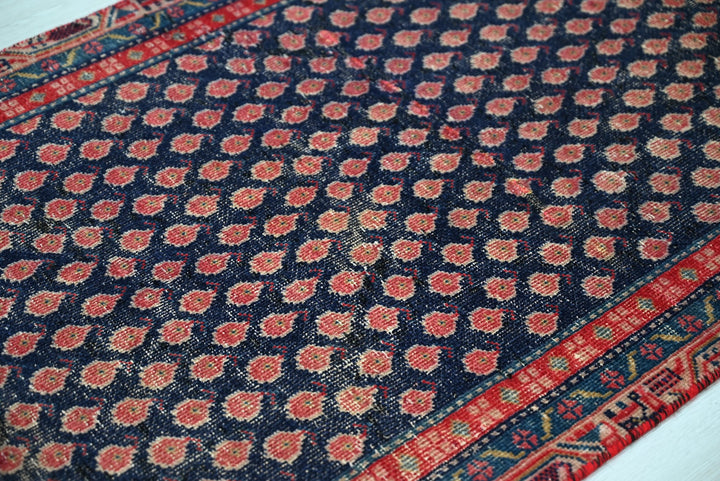 blue Runner rug 2' 6" x 9' 8"