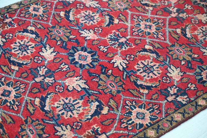red Runner rug 2' 9" x 7' 8"