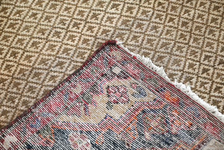 brown Runner rug 2' 4" x 8' 2"