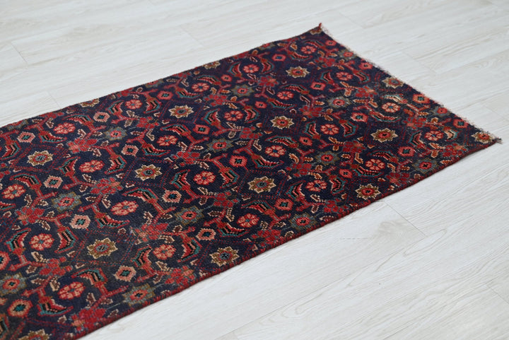blue Runner rug 2' 2" x 8' 7"