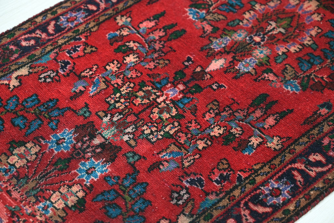 red Runner rug 2' 0" x 10' 0"