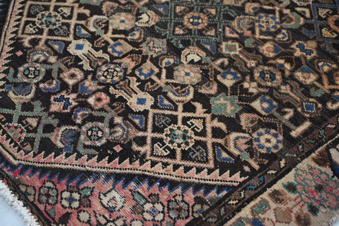 brown Runner rug 3' 3" x 11' 1"