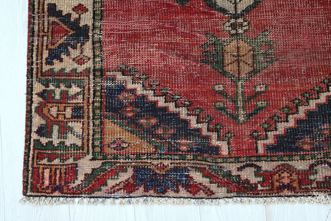 red Runner rug 3' 2" x 9' 10"