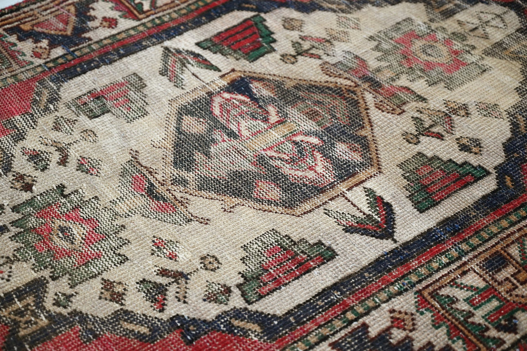 red Runner rug 3' 2" x 9' 10"