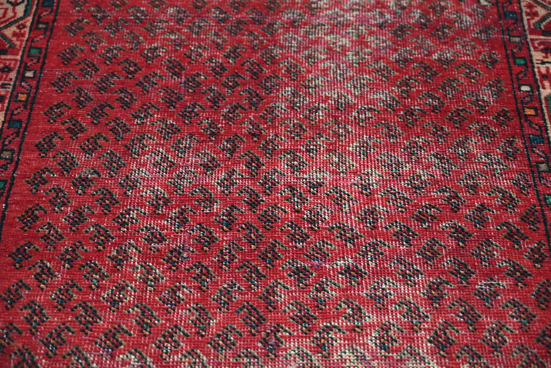 red Runner rug 3' 3" x 9' 8"