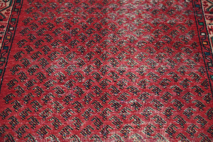 red Runner rug 3' 3" x 9' 8"