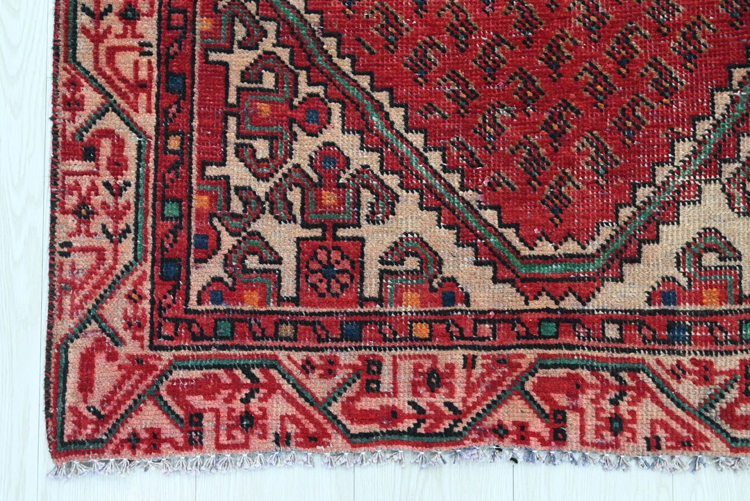 red Runner rug 3' 3" x 9' 8"