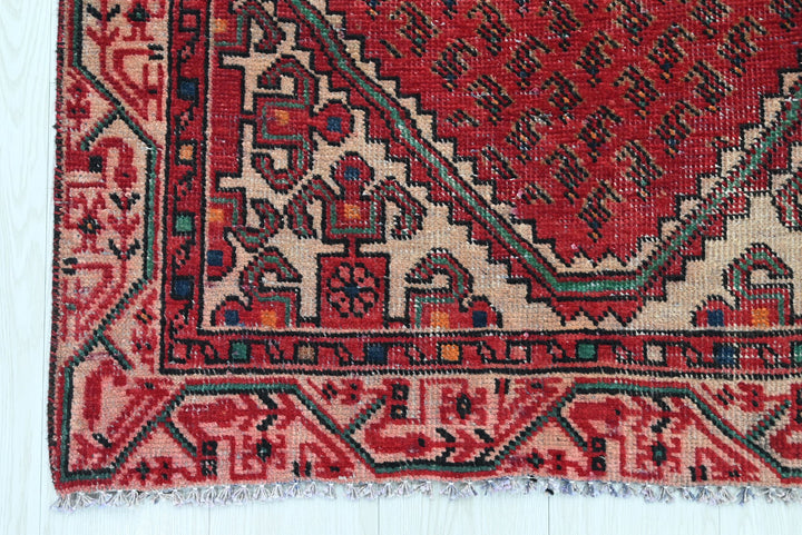 red Runner rug 3' 3" x 9' 8"