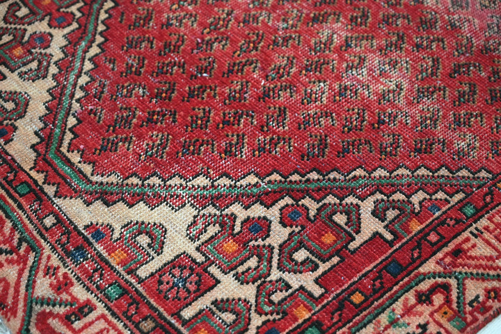 red Runner rug 3' 3" x 9' 8"