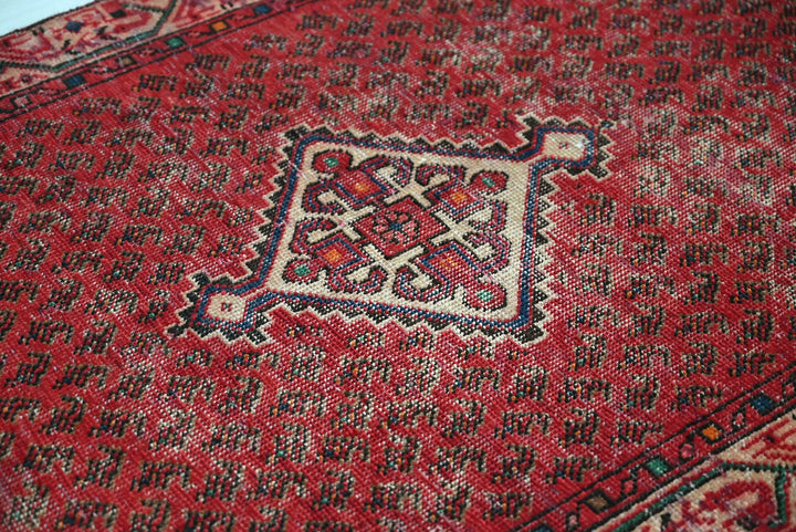 red Runner rug 3' 3" x 9' 8"
