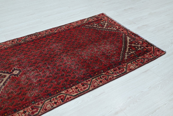 red Runner rug 3' 3" x 9' 8"