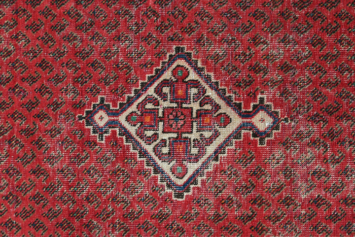 red Runner rug 3' 3" x 9' 8"