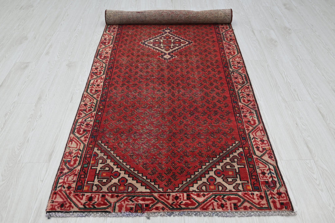 red Runner rug 3' 3" x 9' 8"