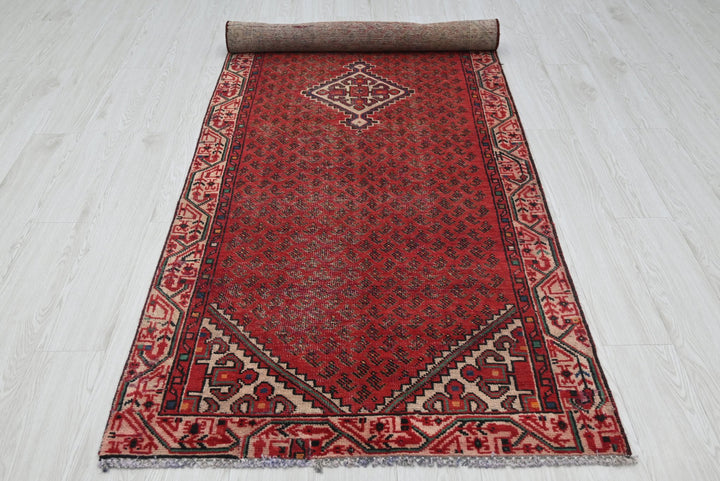 red Runner rug 3' 3" x 9' 8"