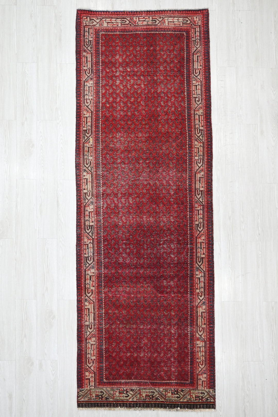 red Runner rug 3' 4" x 10' 0"
