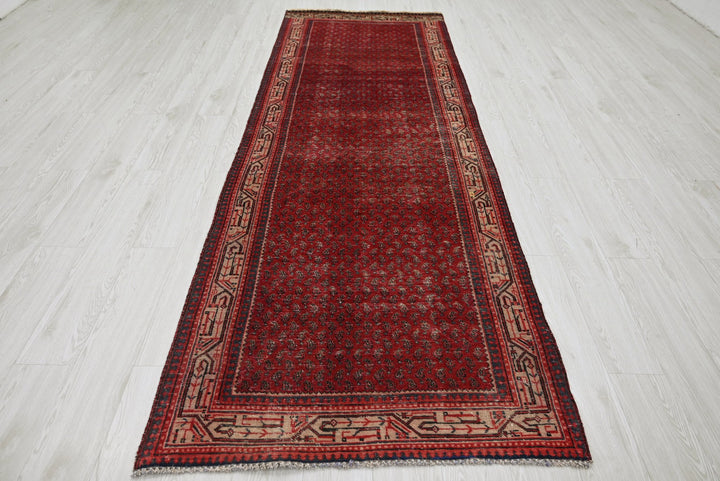 red Runner rug 3' 4" x 10' 0"