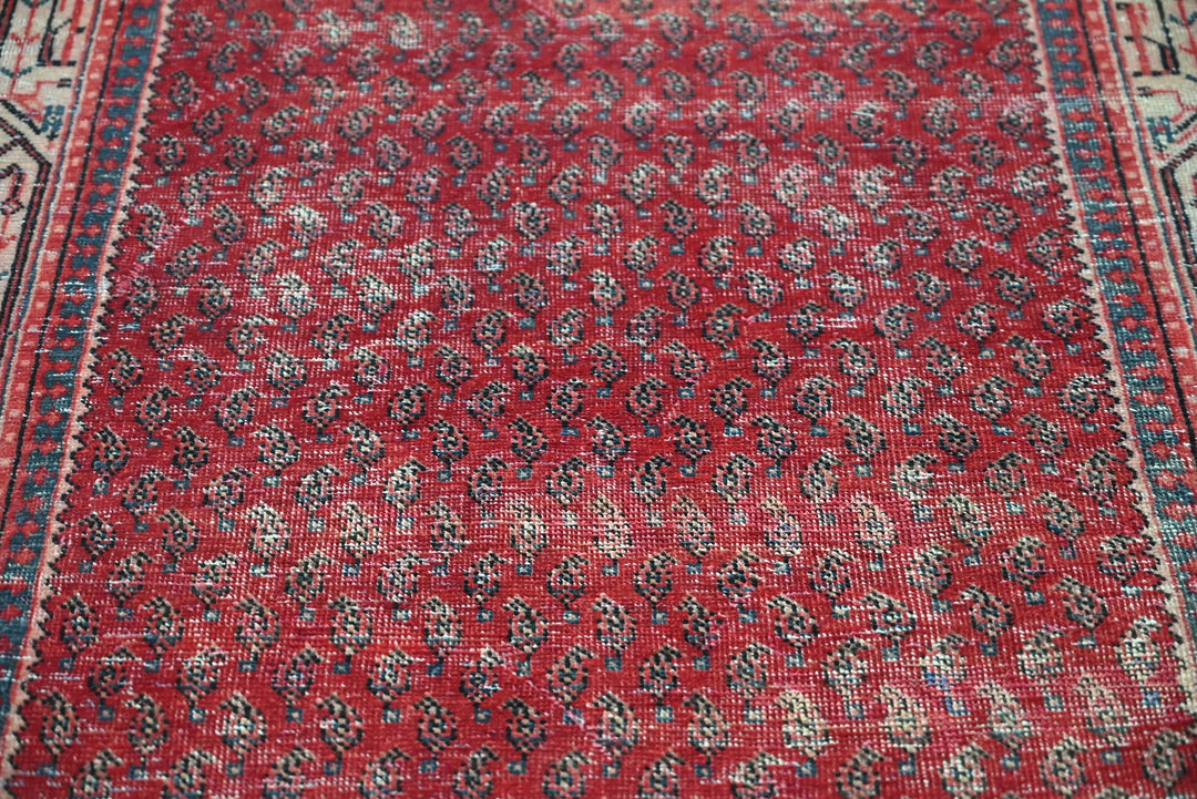 red Runner rug 3' 4" x 10' 0"
