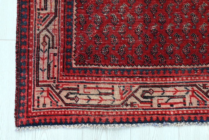 red Runner rug 3' 4" x 10' 0"