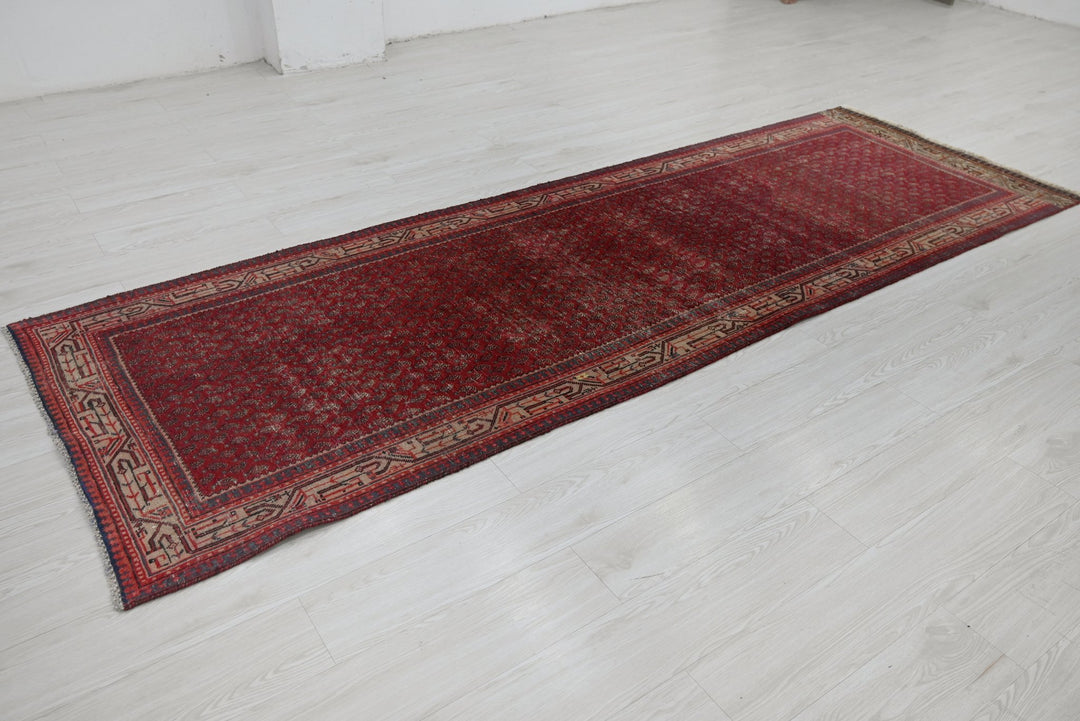 red Runner rug 3' 4" x 10' 0"