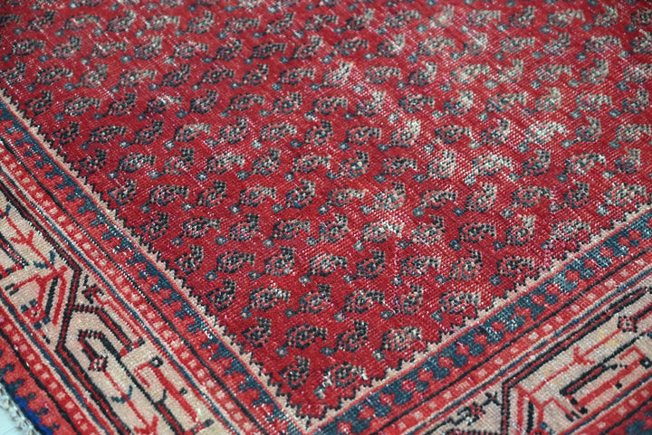 red Runner rug 3' 4" x 10' 0"