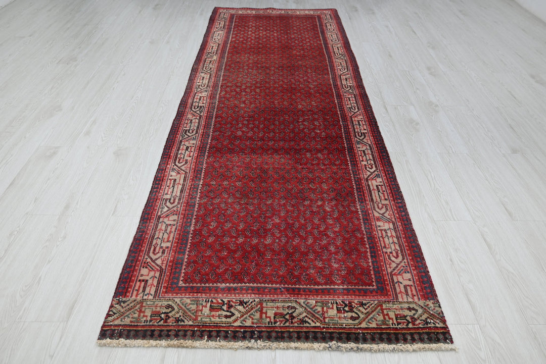 red Runner rug 3' 4" x 10' 0"