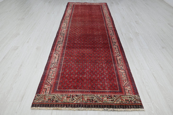 red Runner rug 3' 4" x 10' 0"