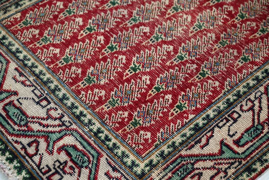 red Runner rug 3' 1" x 9' 6"
