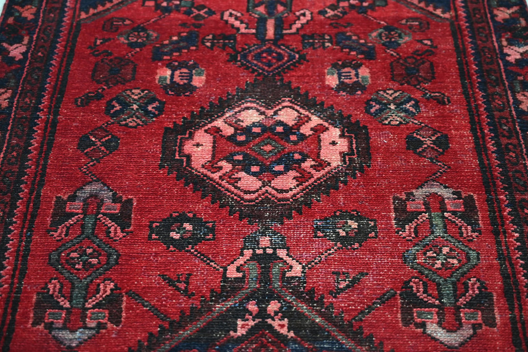 red Runner rug 3' 2" x 9' 5"