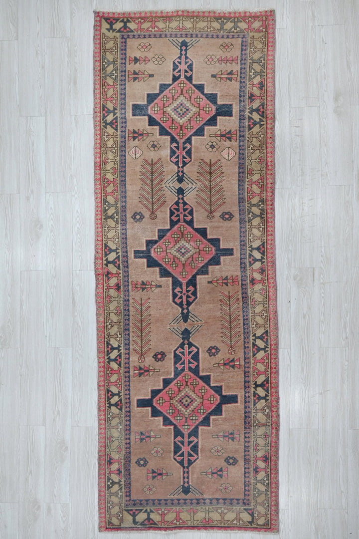 brown Runner rug 3' 3" x 9' 10"