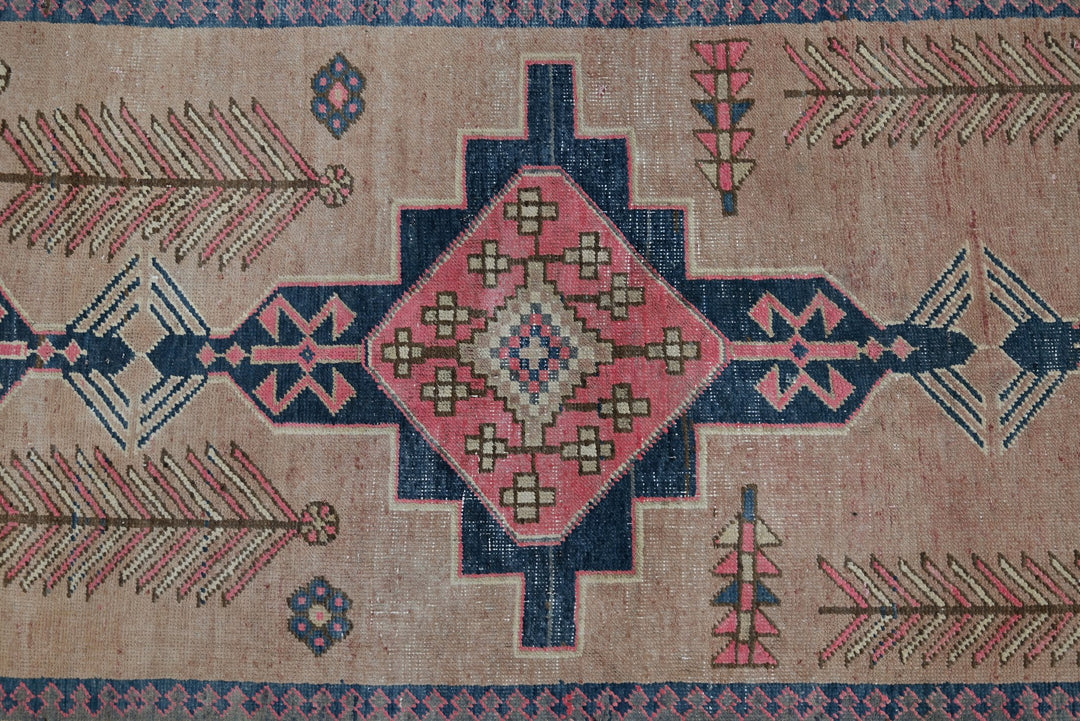 brown Runner rug 3' 3" x 9' 10"