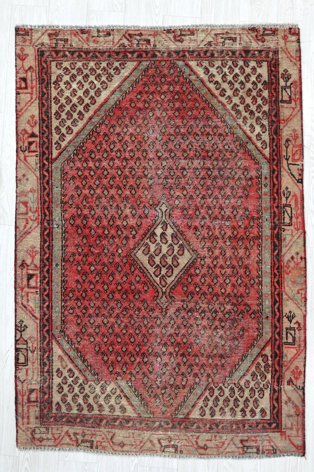 red Accent rug 3' 8" x 5' 8"