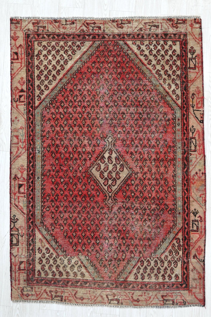 red Accent rug 3' 8" x 5' 8"