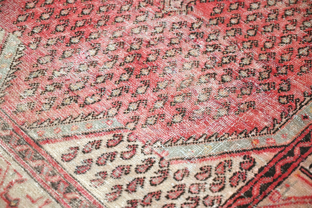 red Accent rug 3' 8" x 5' 8"