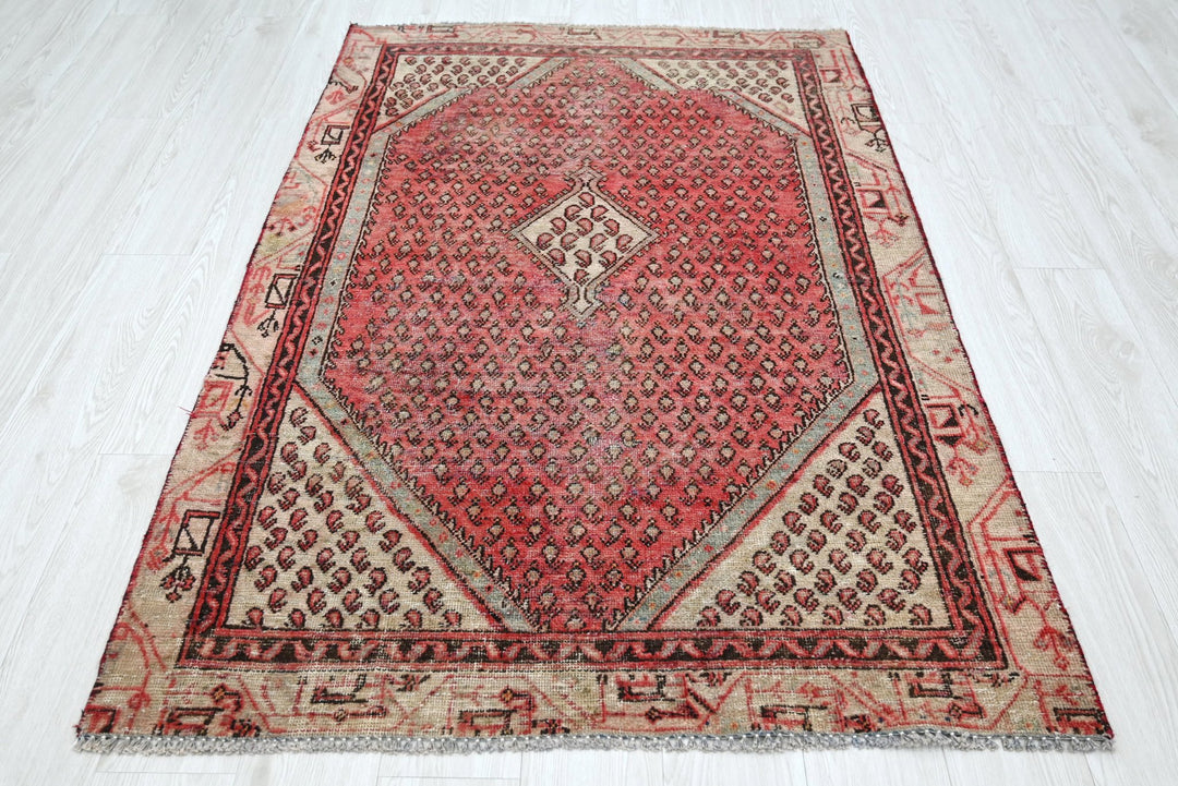 red Accent rug 3' 8" x 5' 8"