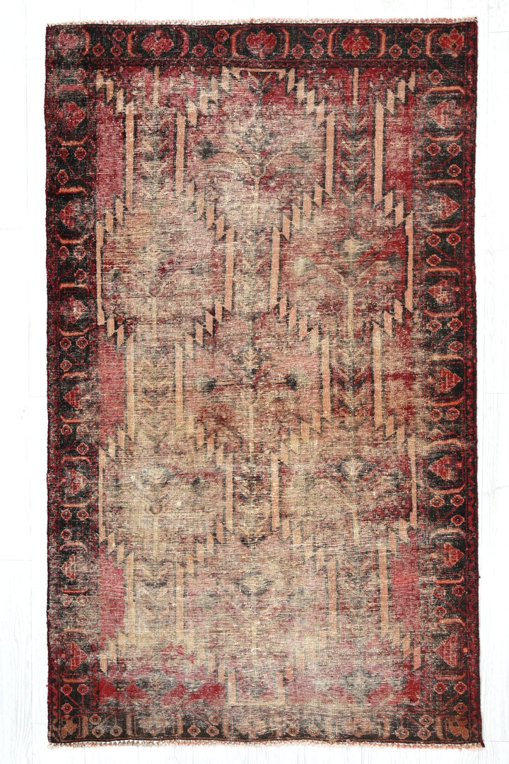 brown Accent rug 3' 9" x 6' 2"