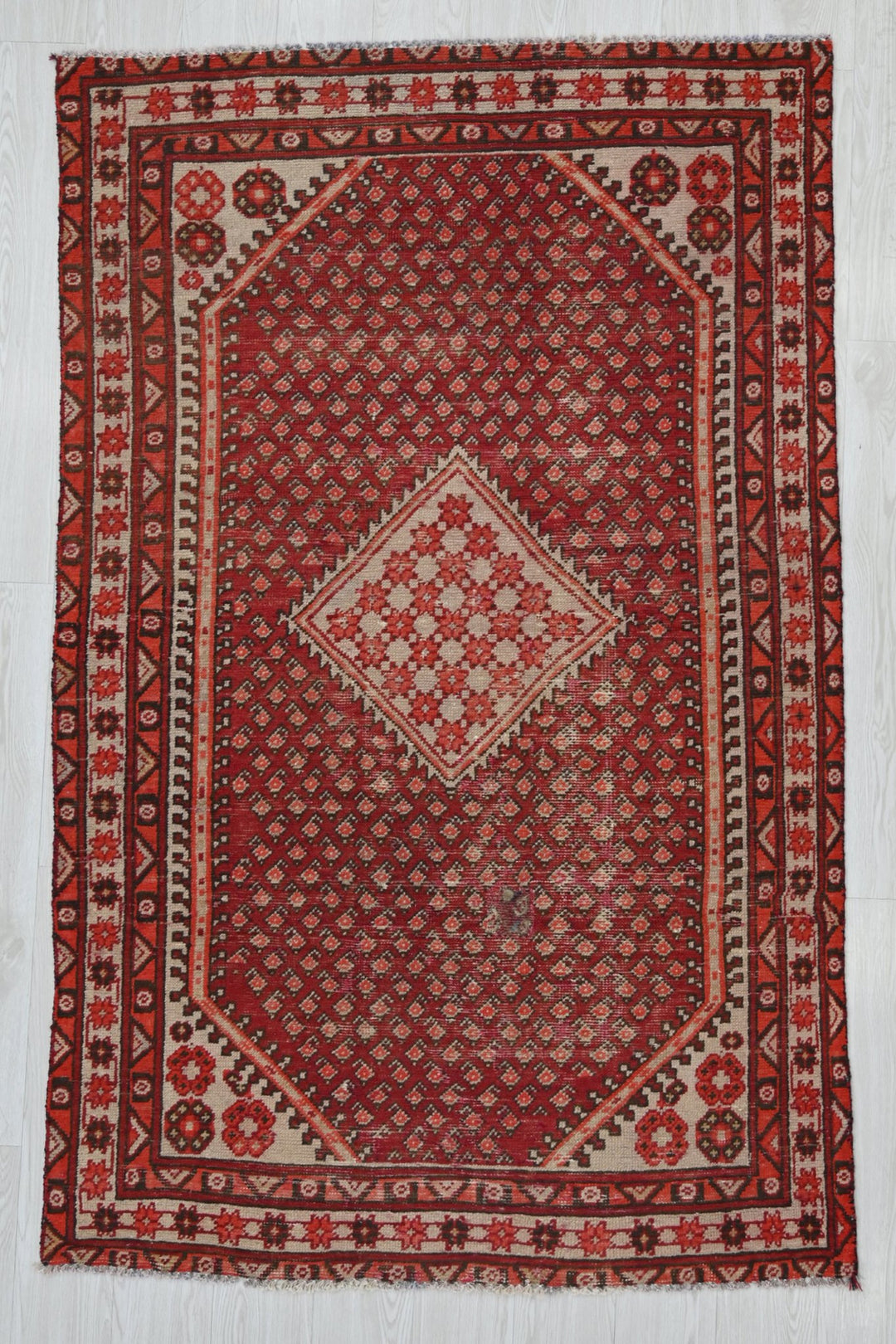 red Medium rug 4' 0" x 6' 8"