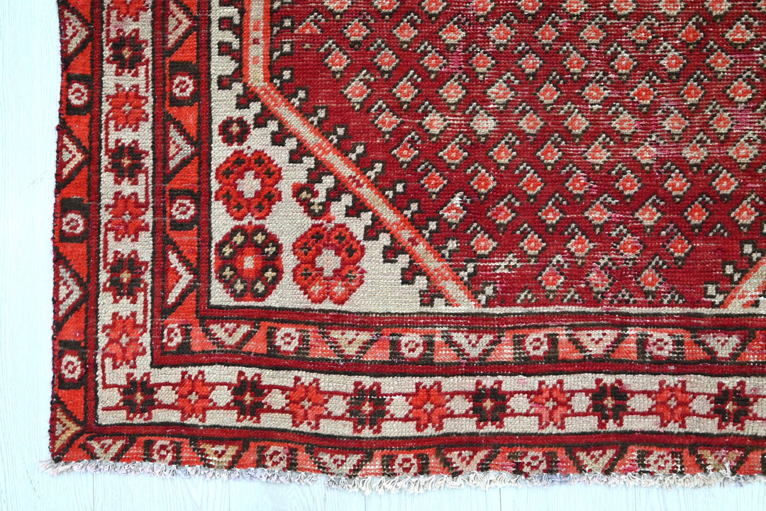 red Medium rug 4' 0" x 6' 8"