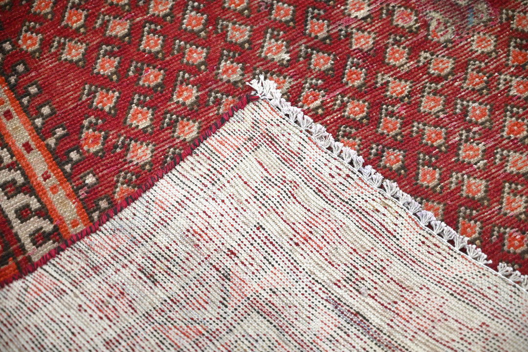 red Medium rug 4' 0" x 6' 8"
