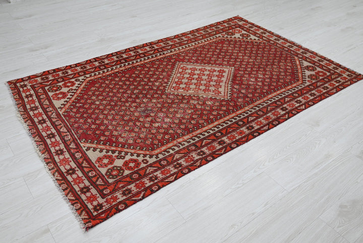 red Medium rug 4' 0" x 6' 8"