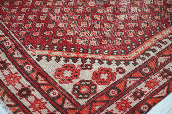 red Medium rug 4' 0" x 6' 8"