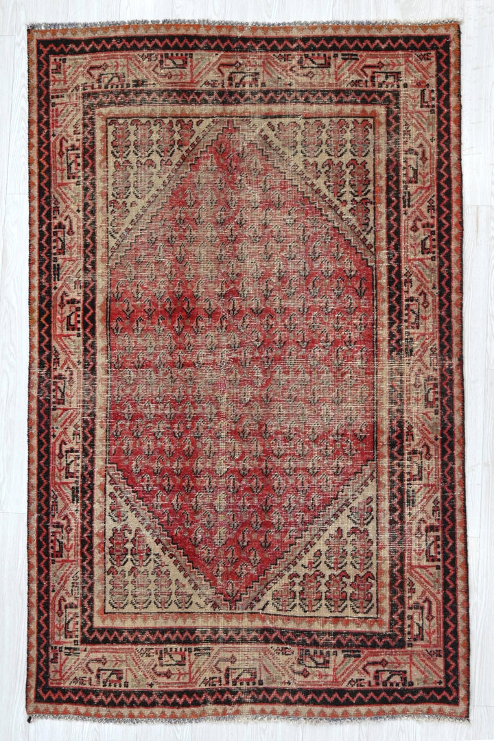 red Accent rug 4' 0" x 6' 4"
